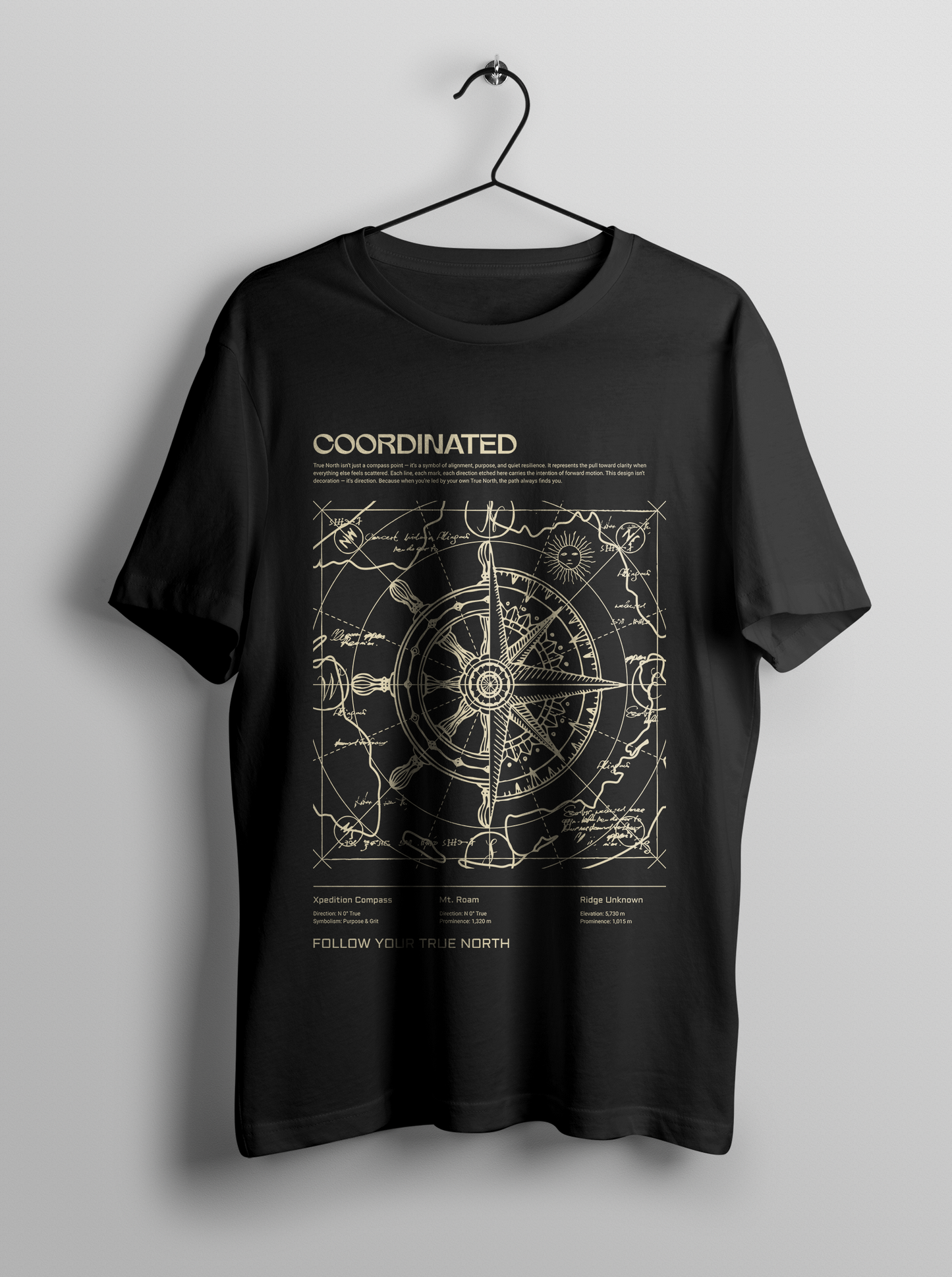 Unisex Oversized Classic T-Shirt